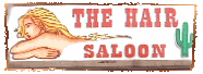 The Hair Saloon in Lincoln Park Michigan 48146